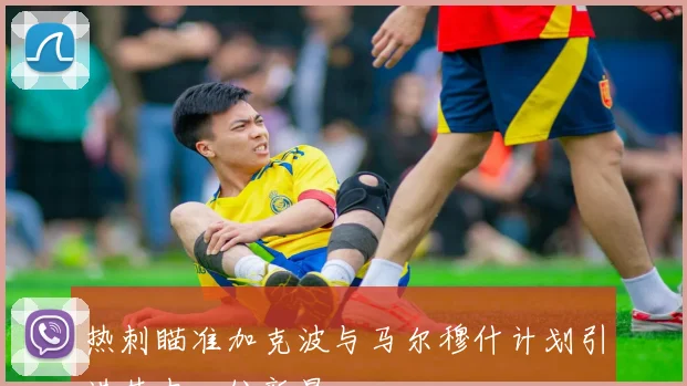 热刺瞄准加克波与马尔穆什计划引进其中一位新星