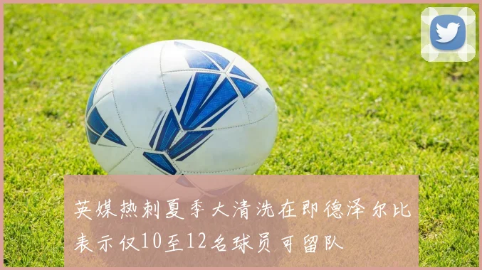 英媒热刺夏季大清洗在即德泽尔比表示仅10至12名球员可留队